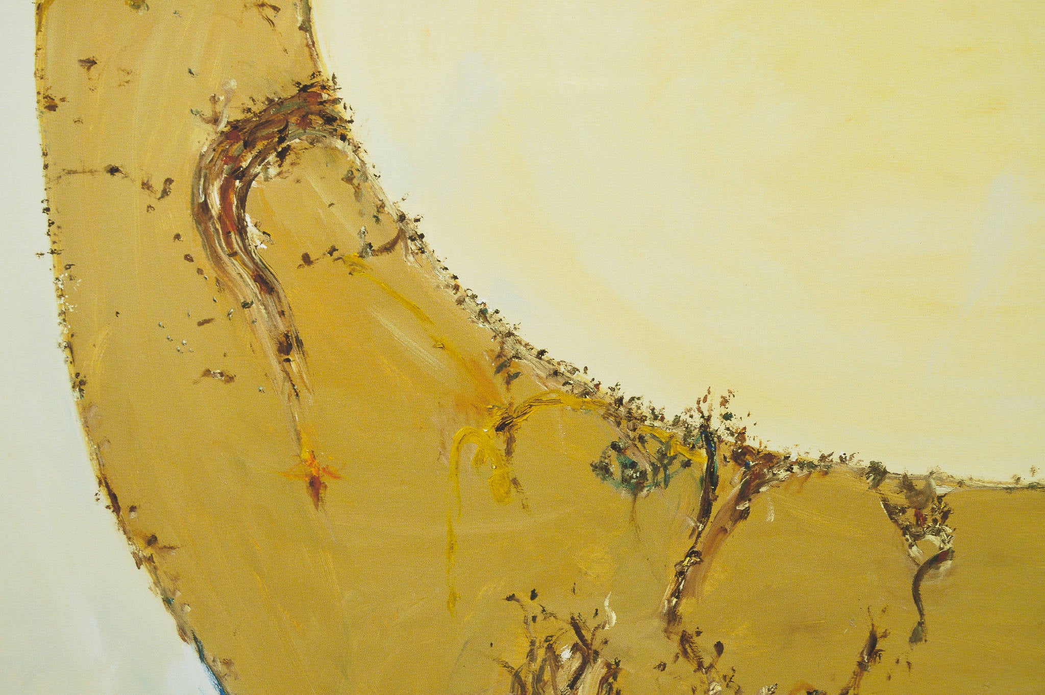 John Olsen 'Lake Hindmarsh'