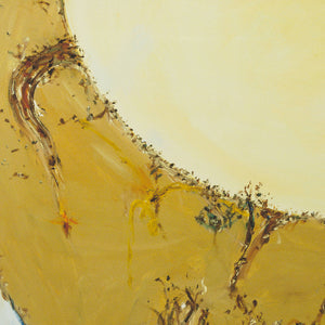 John Olsen 'Lake Hindmarsh'