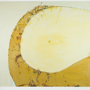 John Olsen 'Lake Hindmarsh'