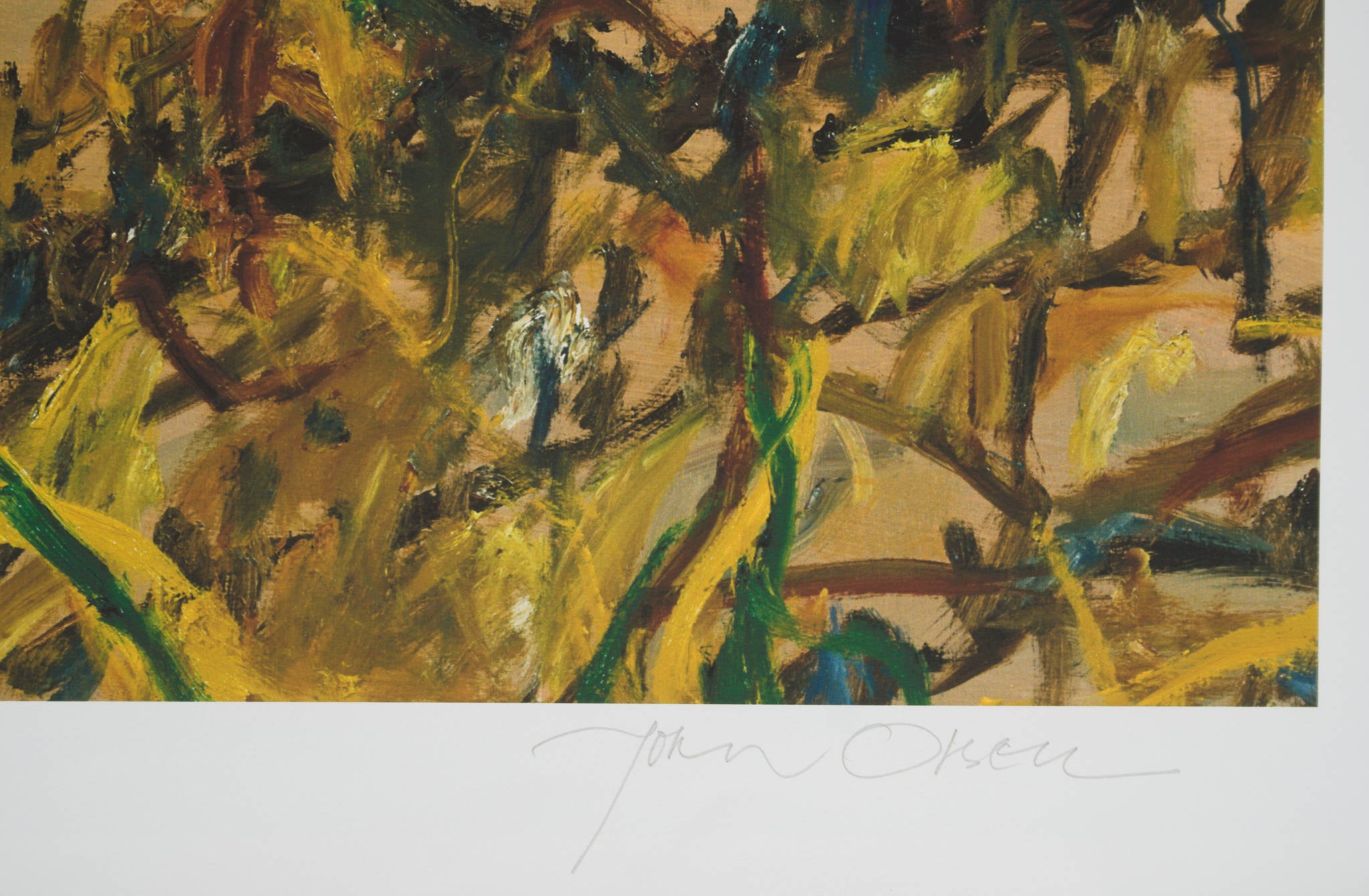 John Olsen 'Leaping Frog'