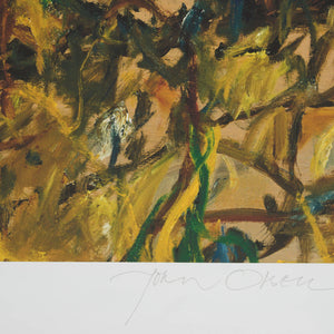 John Olsen 'Leaping Frog'