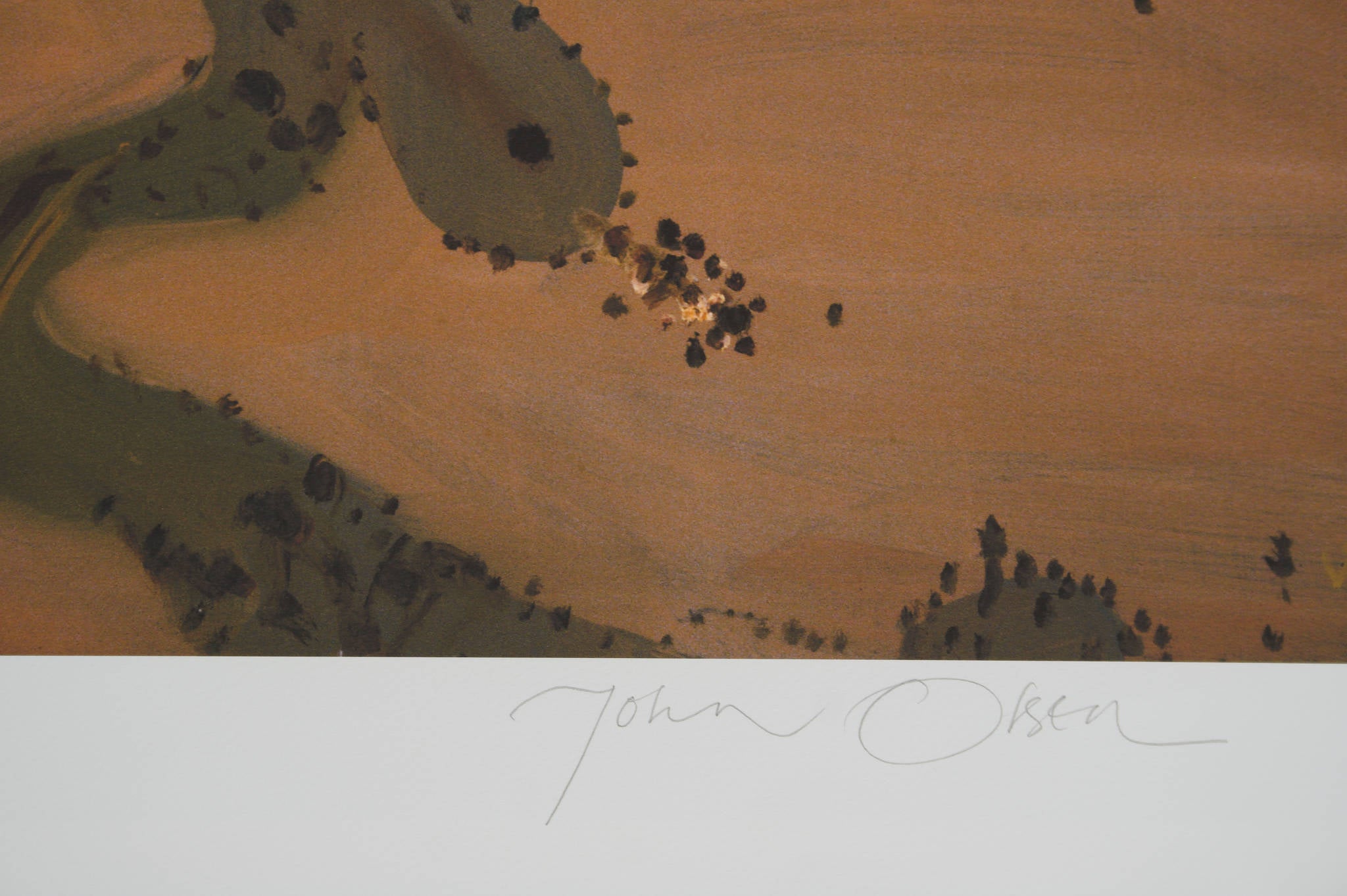 John Olsen 'Flooded Lake Gregory'