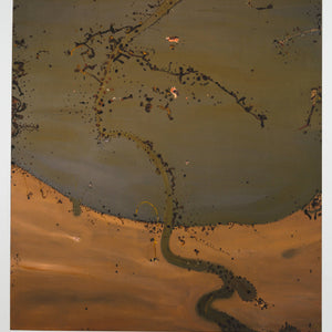 John Olsen 'Flooded Lake Gregory'