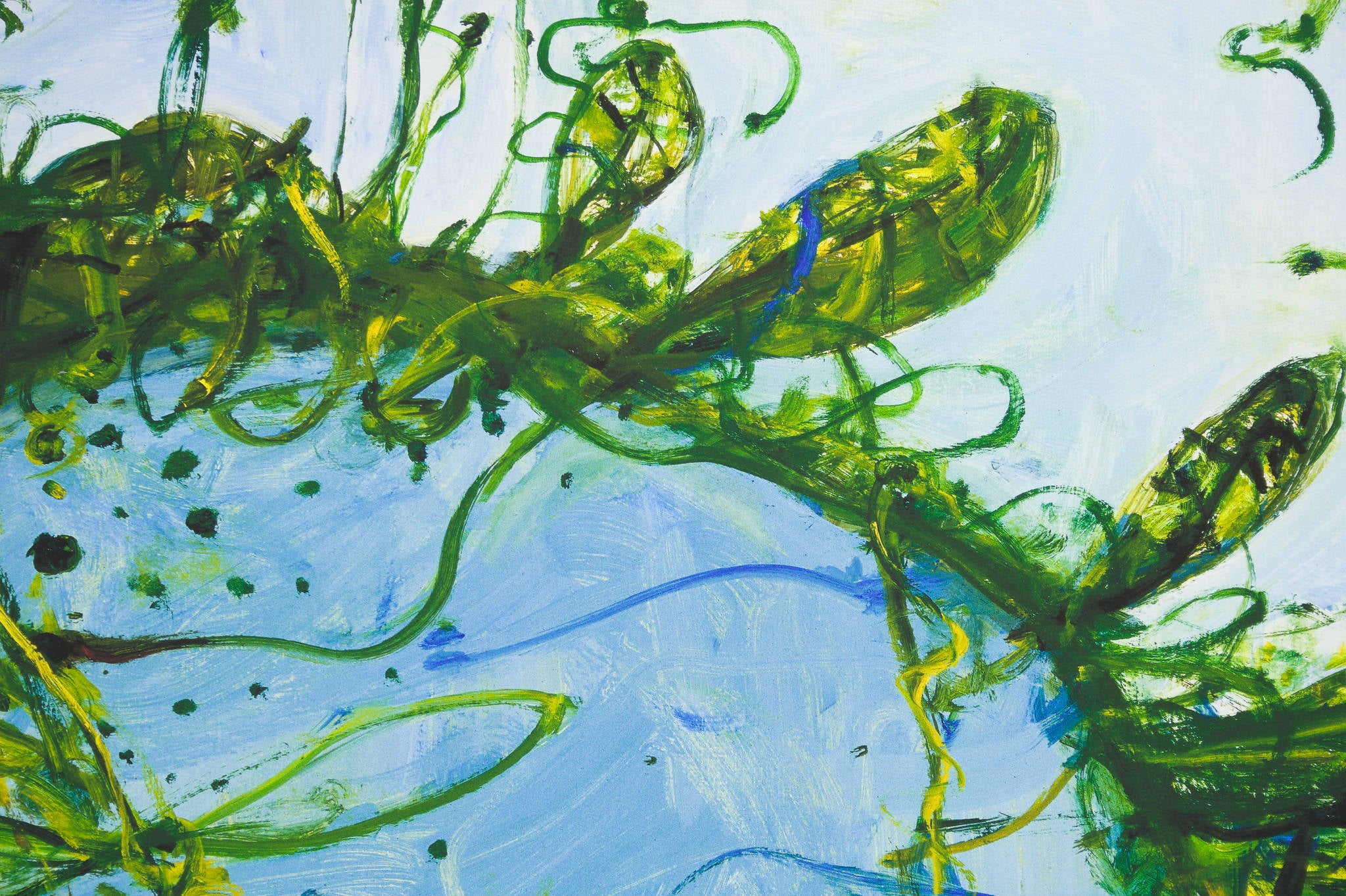 John Olsen 'Nothing is as Beautiful as Spring'