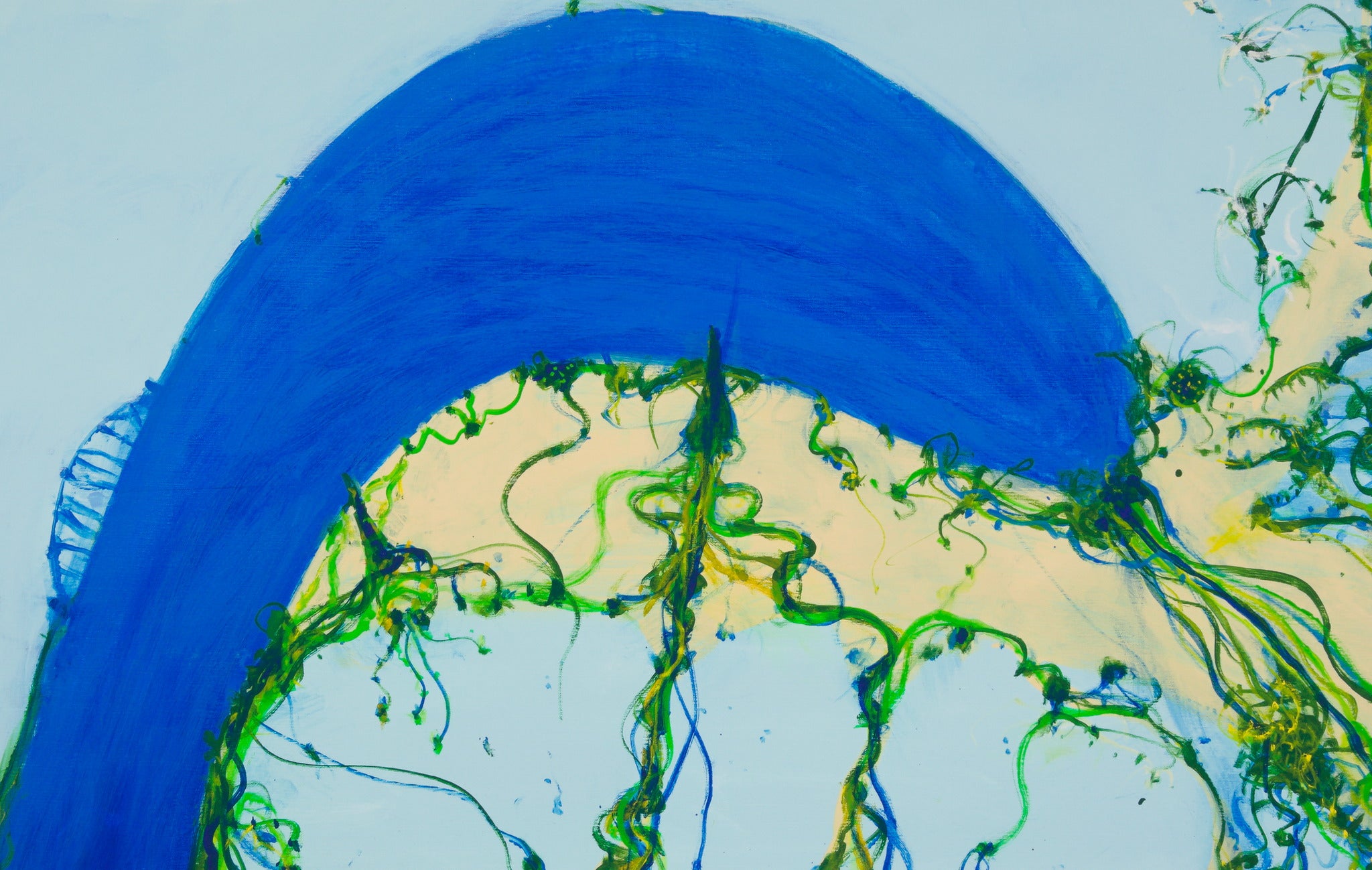 John Olsen – Art and Collectors