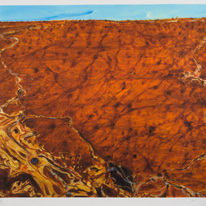 John Olsen 'Simpson Desert'