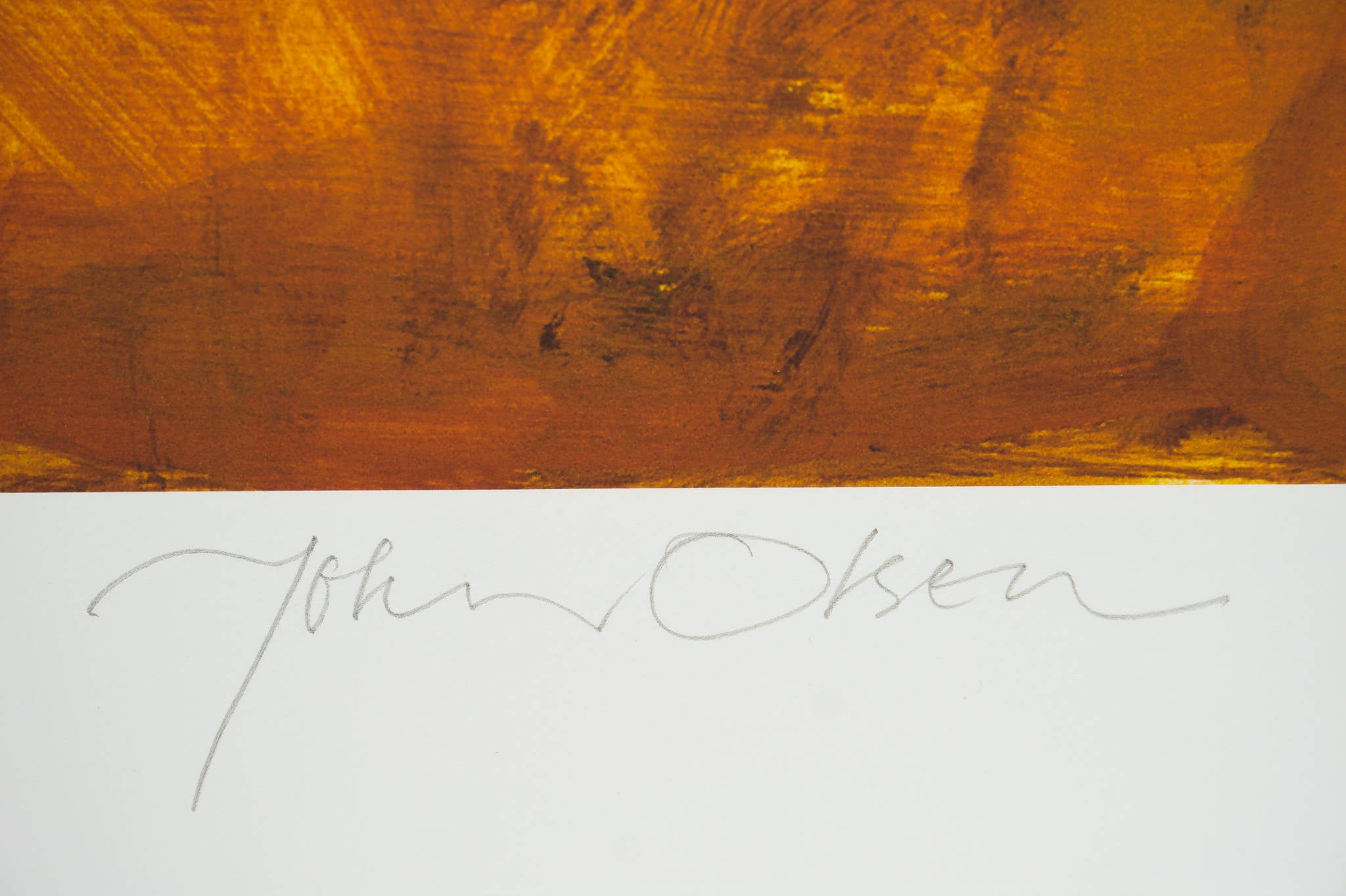 John Olsen 'Wattle and the Chasing Bird Landscape'