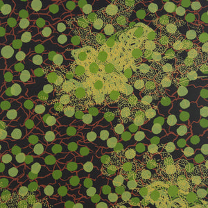 Lin Onus 'Green and Red Pattern with Frog Pattern'