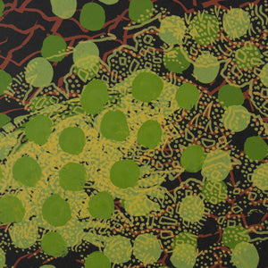 Lin Onus 'Green and Red Pattern with Frog Pattern'