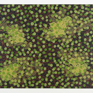 Lin Onus 'Green and Red Pattern with Frog Pattern'