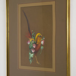 Ninon Phillips 'Golden Pheasant'