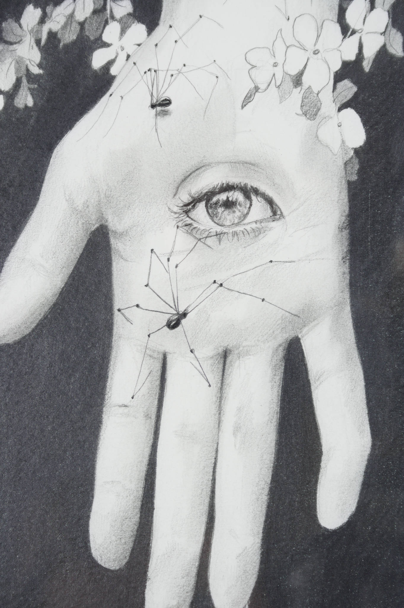 Ryan Pola 'The Giving and Receiving of Energy'