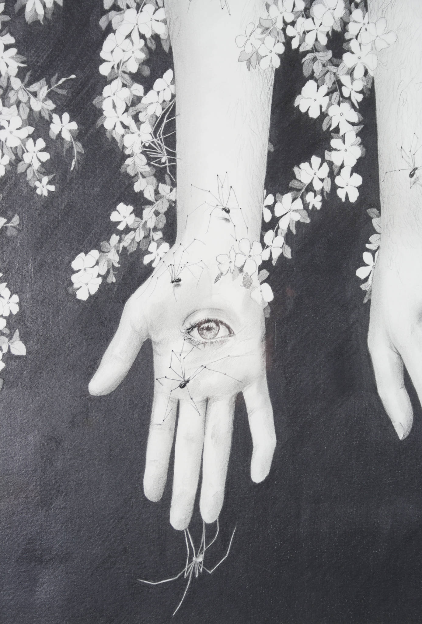 Ryan Pola 'The Giving and Receiving of Energy'