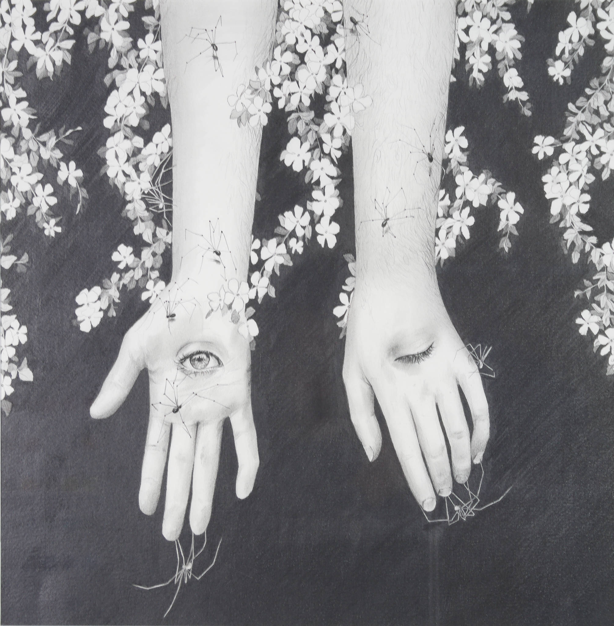 Ryan Pola 'The Giving and Receiving of Energy'
