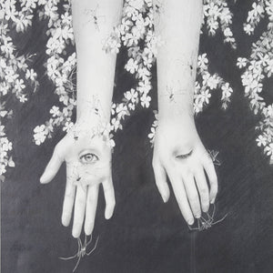Ryan Pola 'The Giving and Receiving of Energy'
