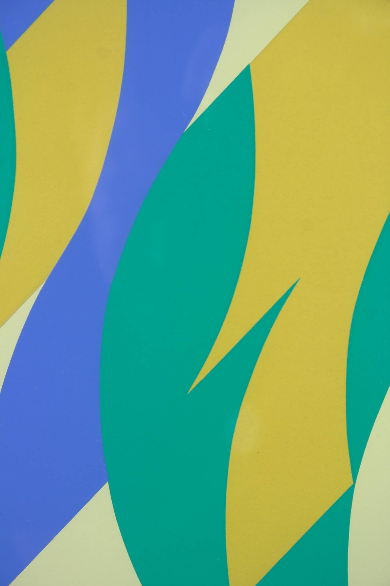 Bridget Riley 'Fold'