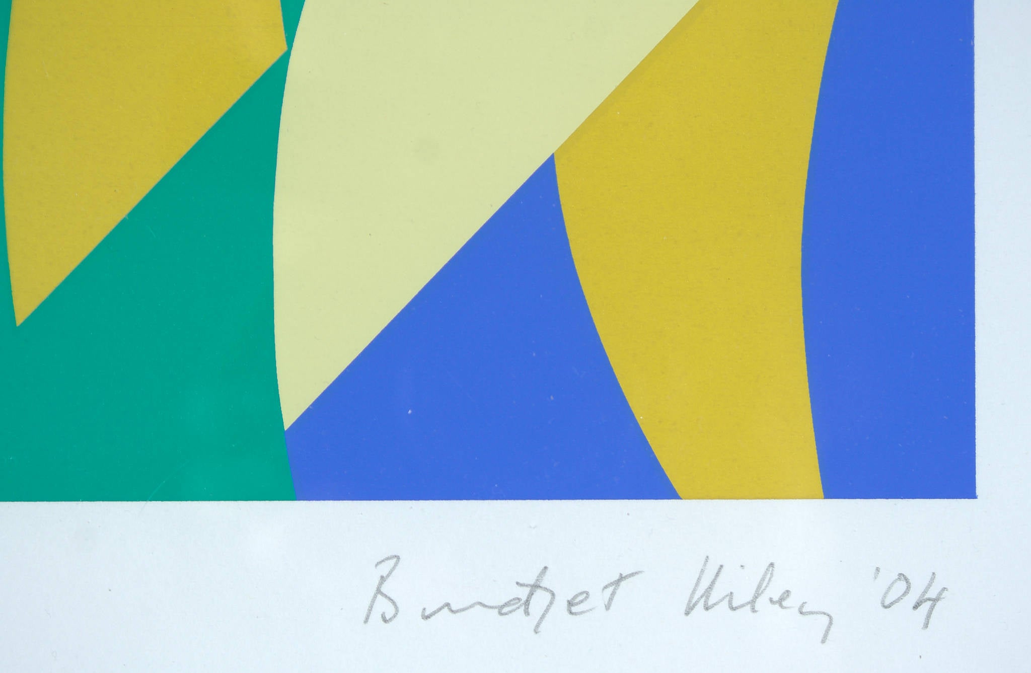 Bridget Riley 'Fold'