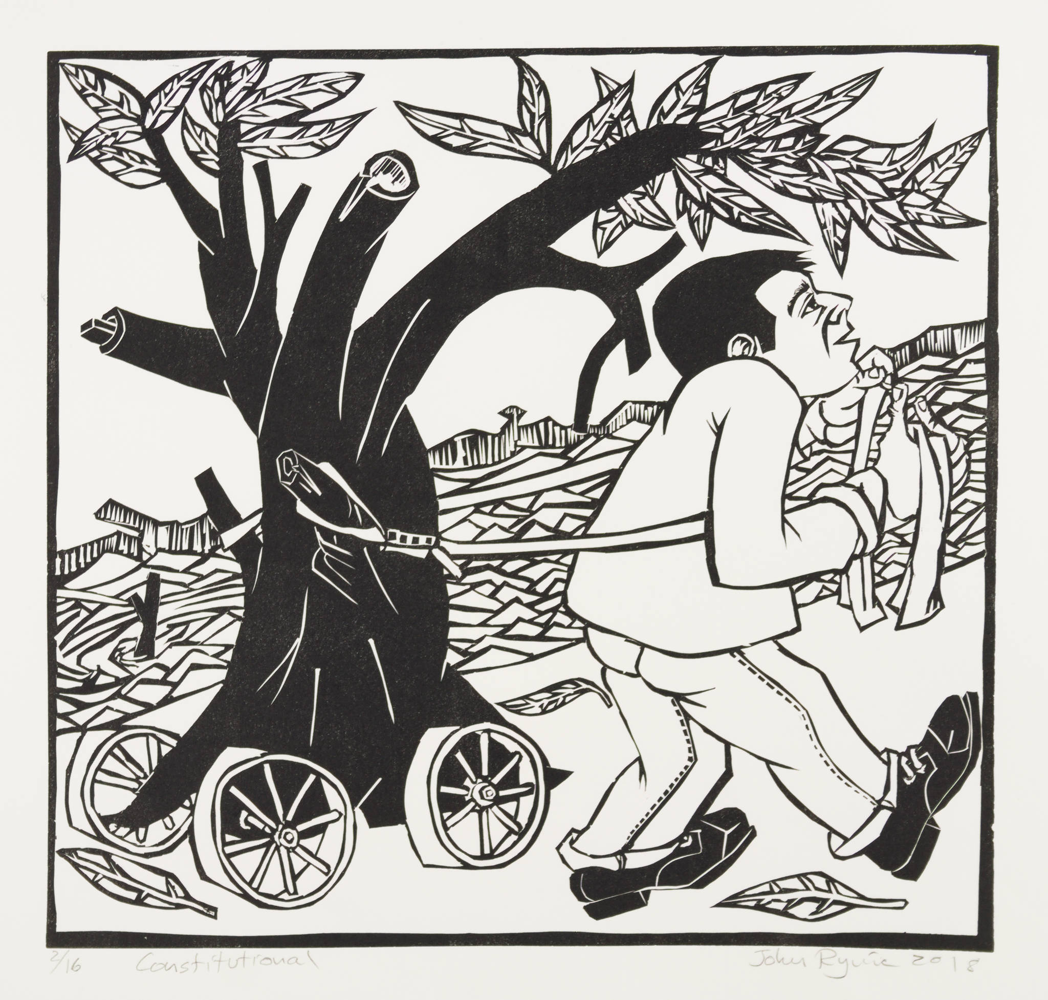 John Ryrie 'Constitutional'