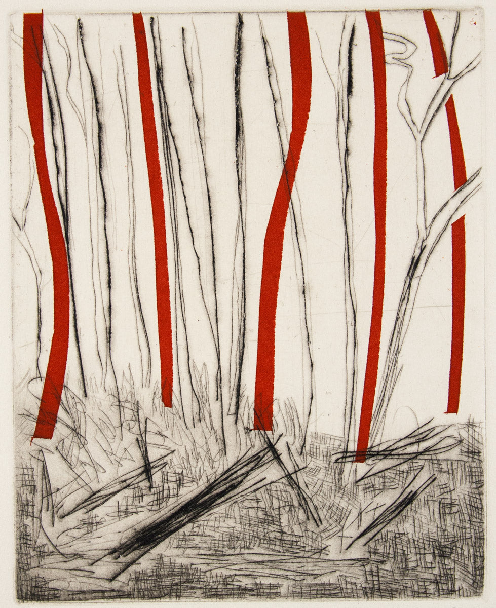 Mark Schaller 'Bushfire II'