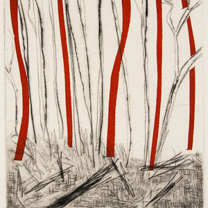Mark Schaller 'Bushfire II'