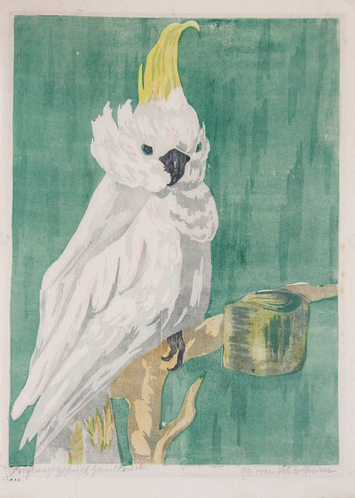 Margot von Schlotheim 'Untitled (Cockatoo)'