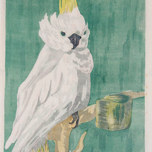 Margot von Schlotheim 'Untitled (Cockatoo)'