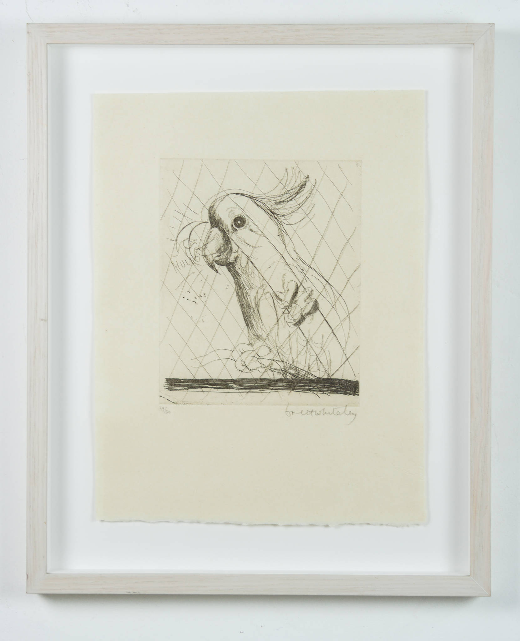 Brett Whiteley 'Hullo (Cockatoo)'