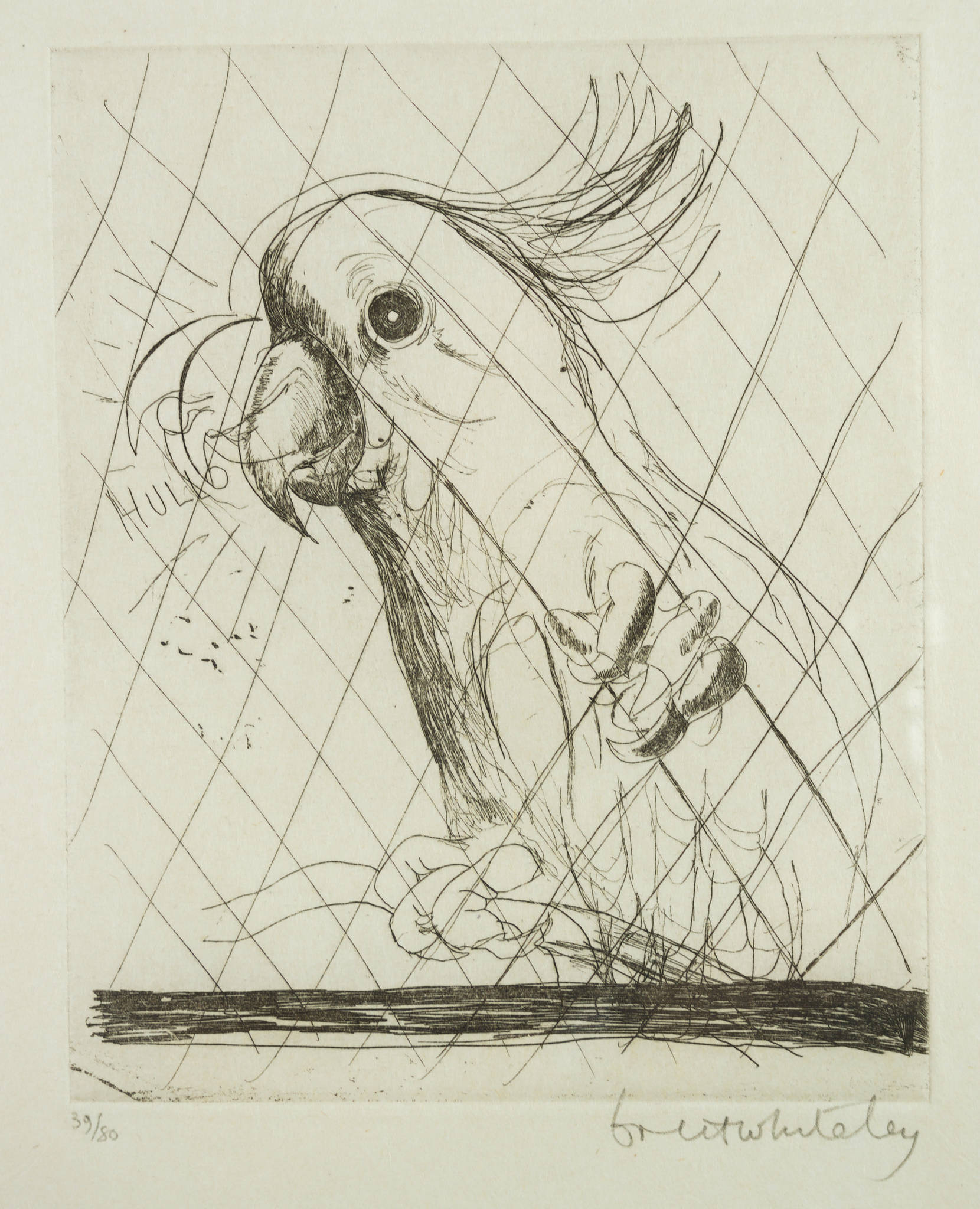 Brett Whiteley 'Hullo (Cockatoo)'