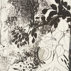 Brett Whiteley 'View of the Garden'