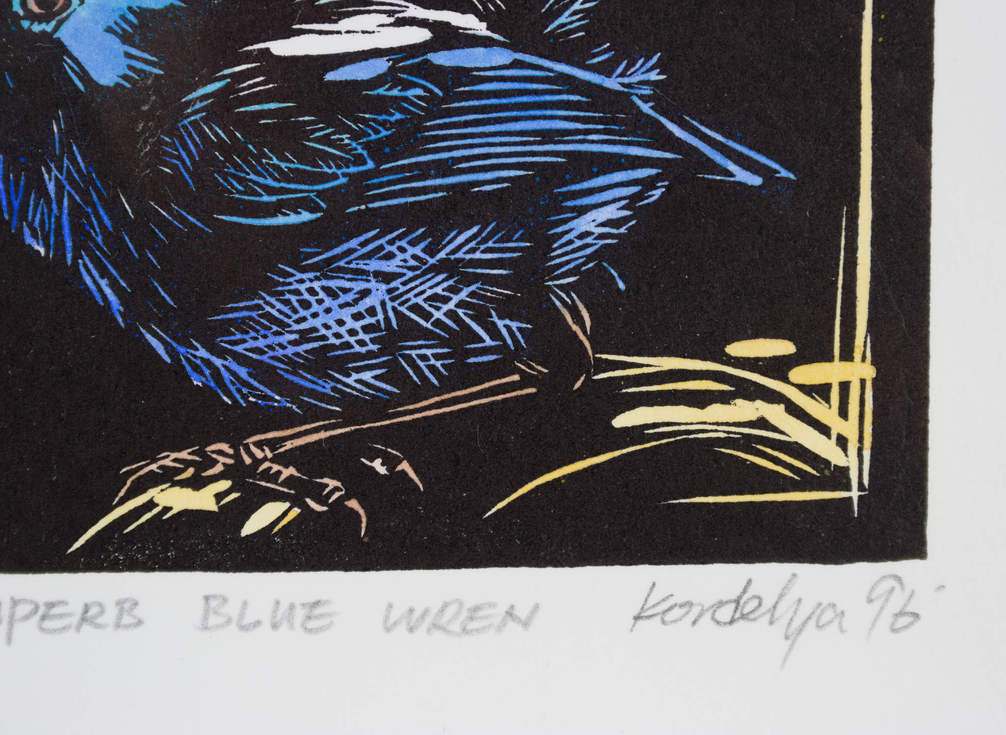 Kordelya Zhan Sui Chi 'Superb Blue Wren'