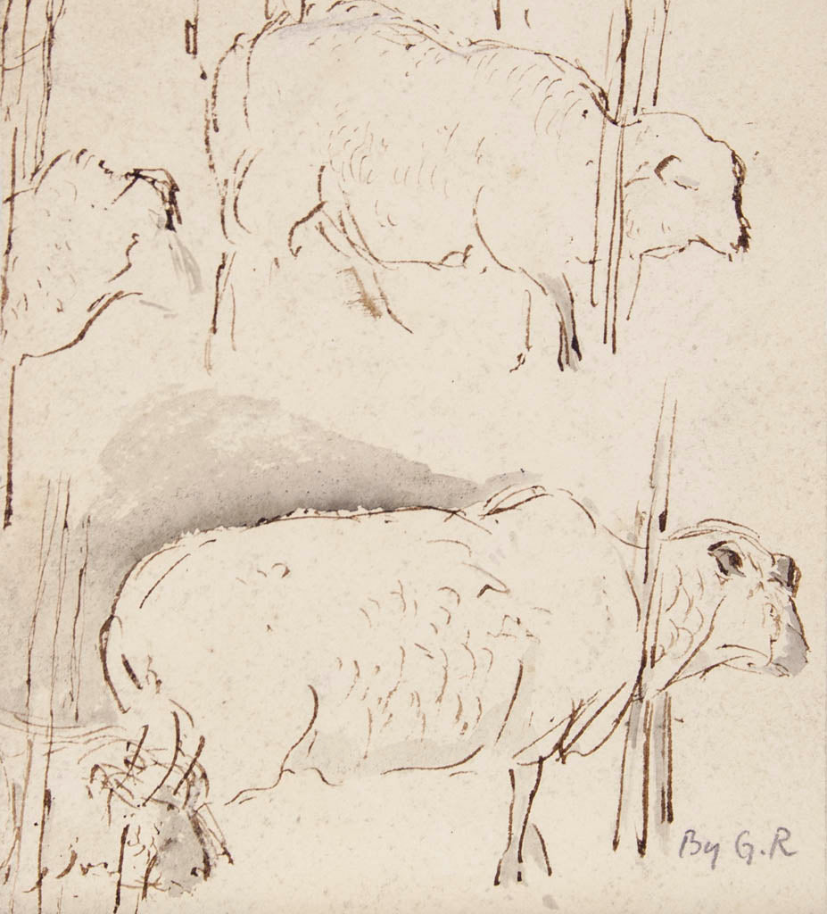 Artist Unknown 'Untitled (Study of Sheep)' – Art and Collectors