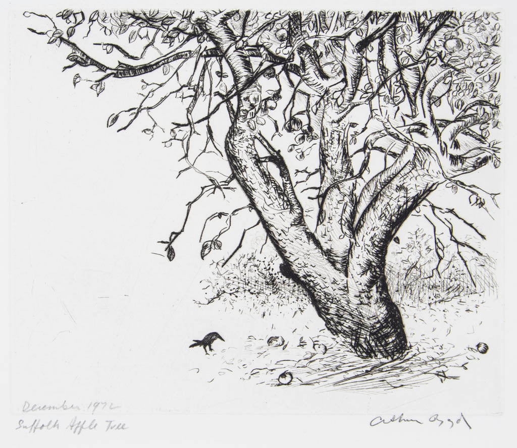 Arthur Boyd 'Suffolk Apple Tree'