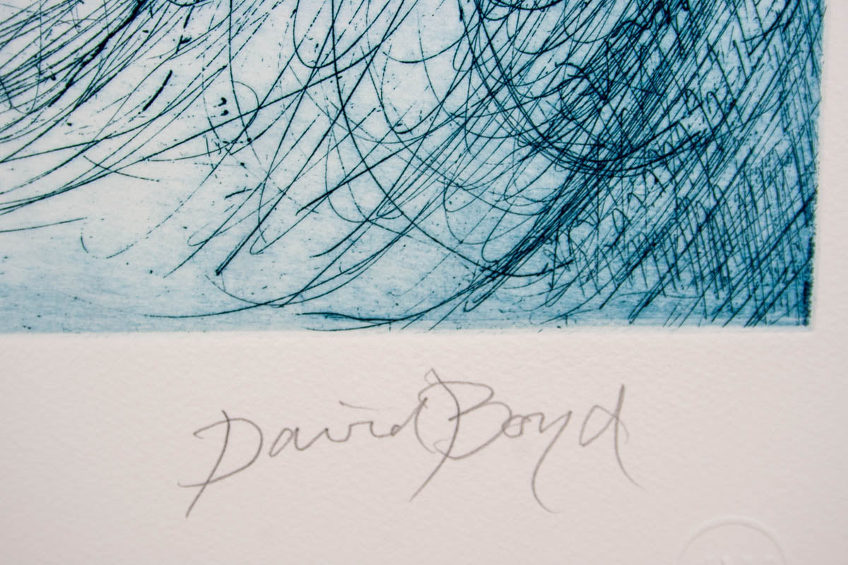 David Boyd 'Musician'