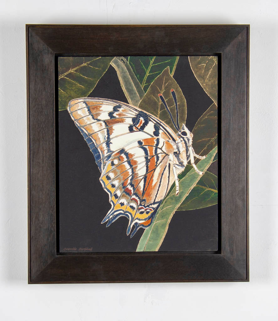 Cressida Campbell 'Resting Butterfly'