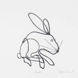 Stephen Collins 'Rabbit'