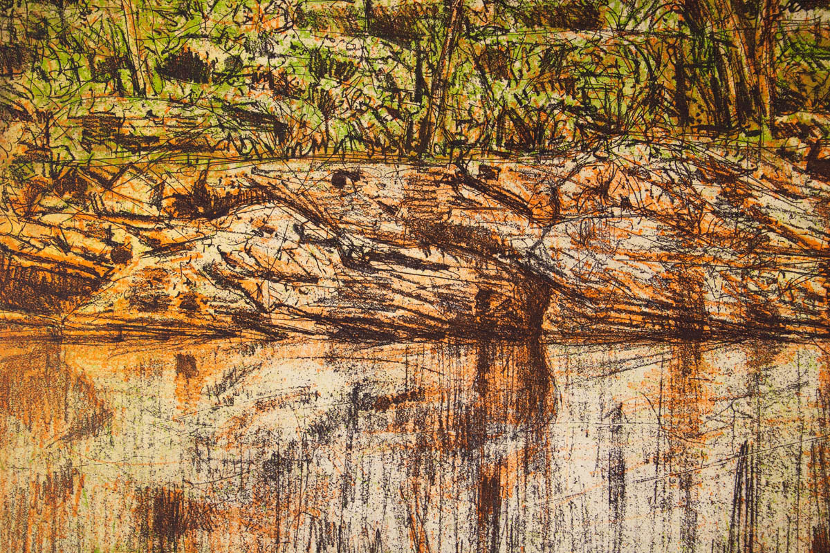 Charles Cooper 'Colo River'