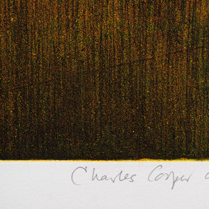 Charles Cooper 'Colo River'