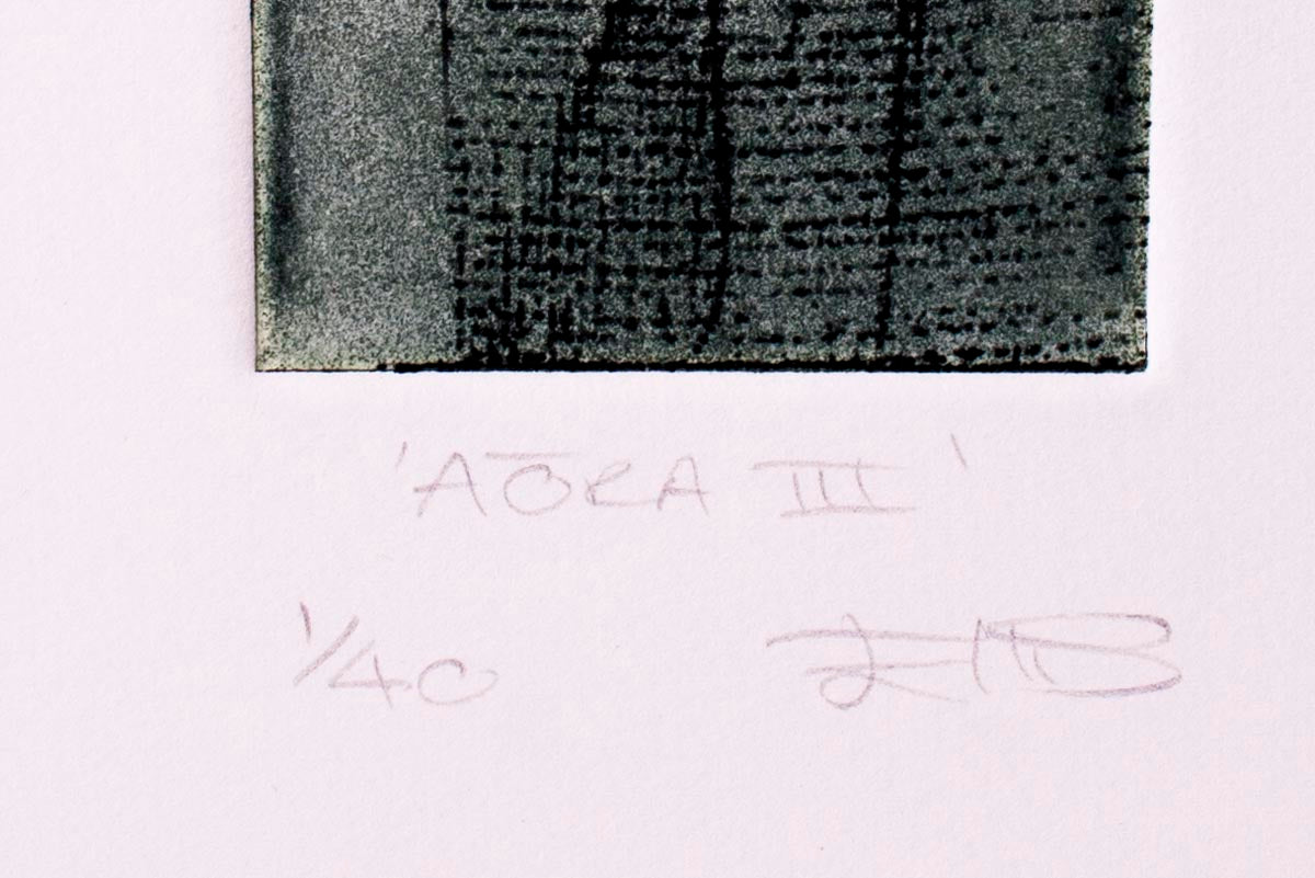 Gaye Ellis 'Aora III'