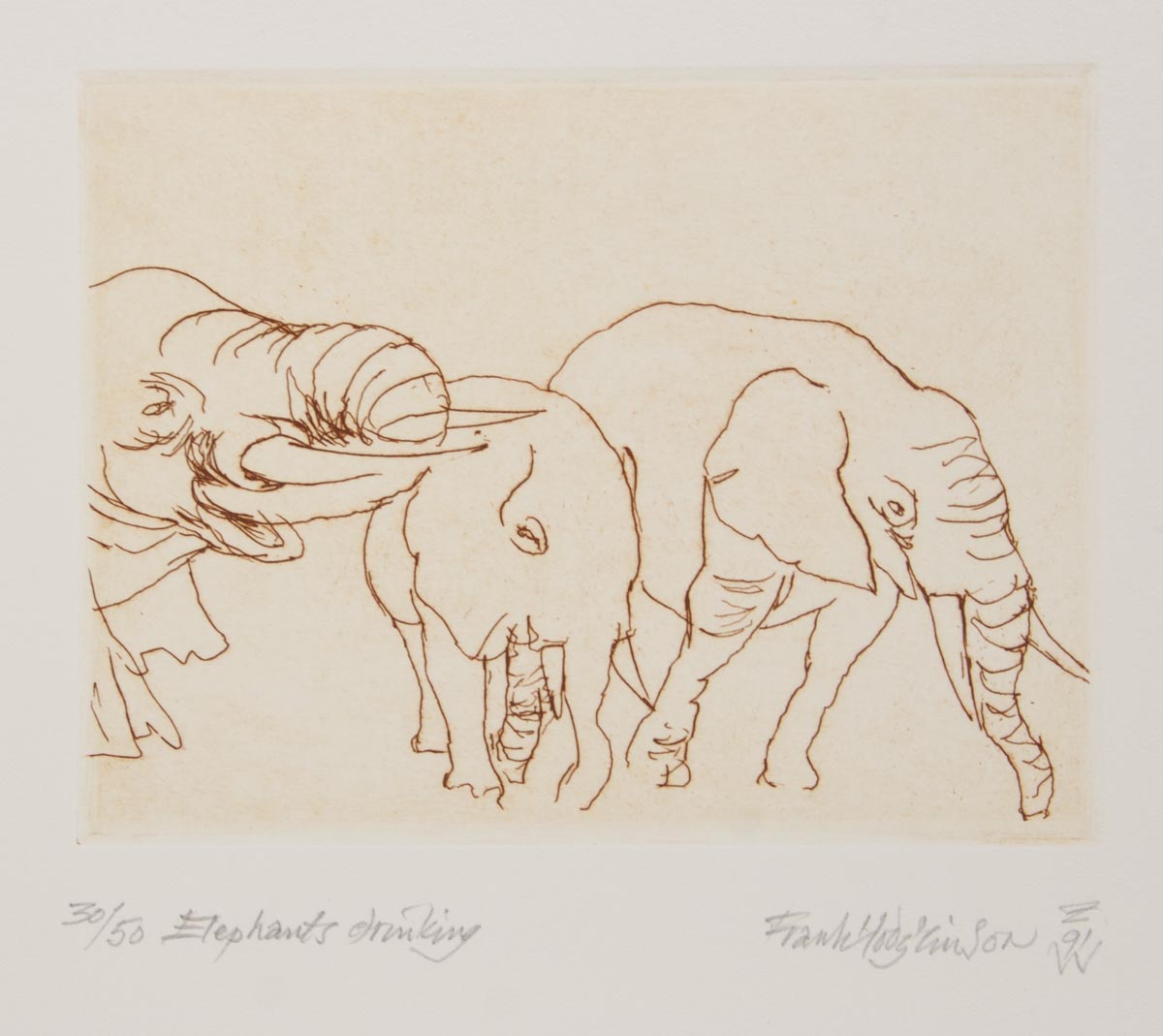 Frank Hodgkinson 'Elephants Drinking'