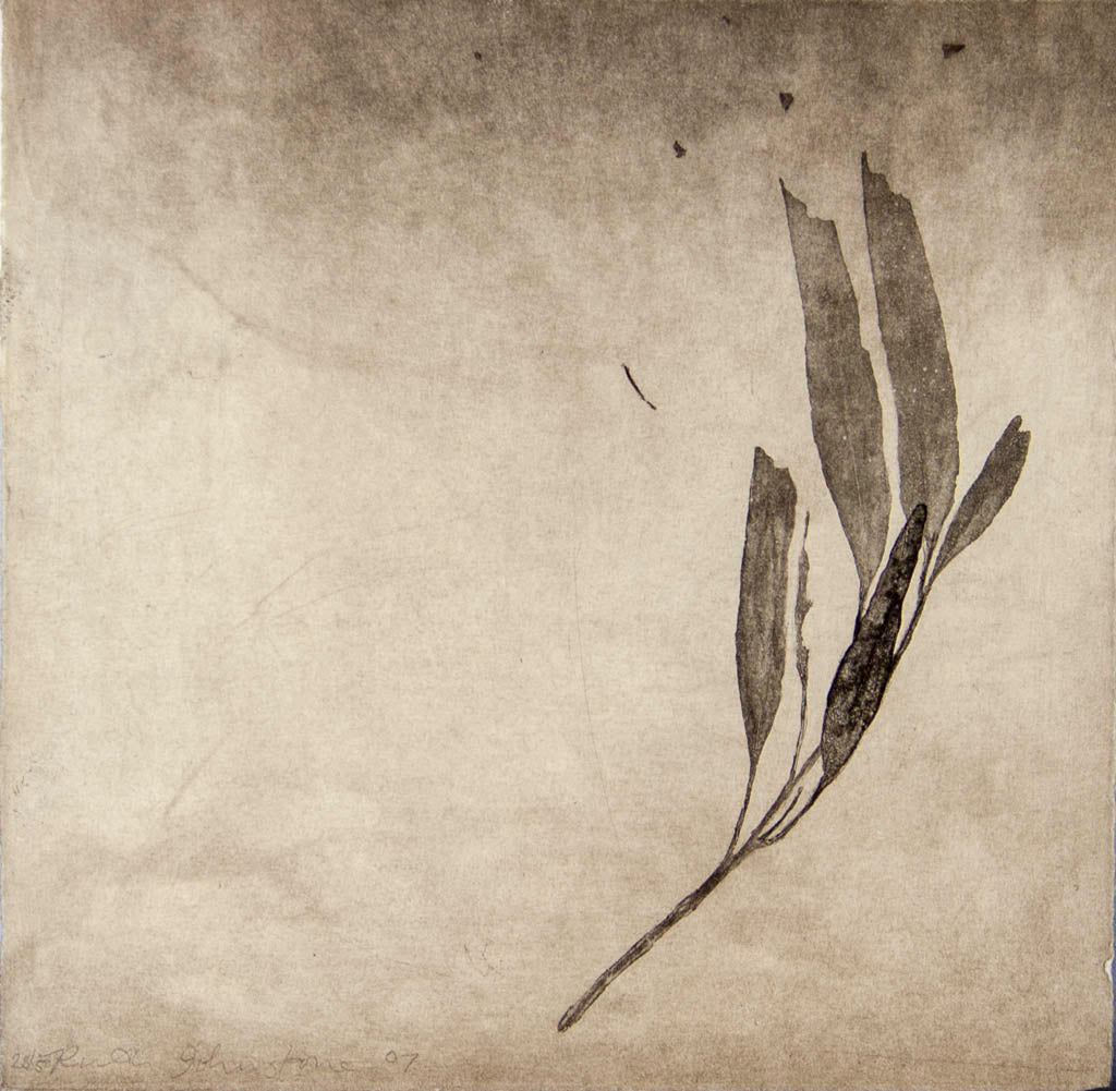 Ruth Johnstone 'Untitled (Eucalyptus Leaf)'