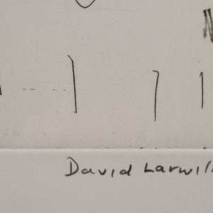 David Larwill 'Flying'