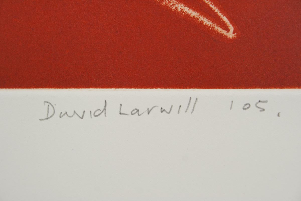 David Larwill 'Trip'
