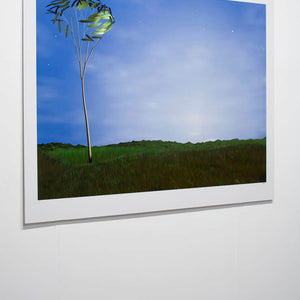 Philippe Le Miere 'Single tree'