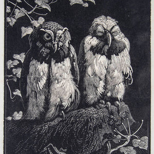 Lionel Lindsay 'Owls' - Collected by Chris