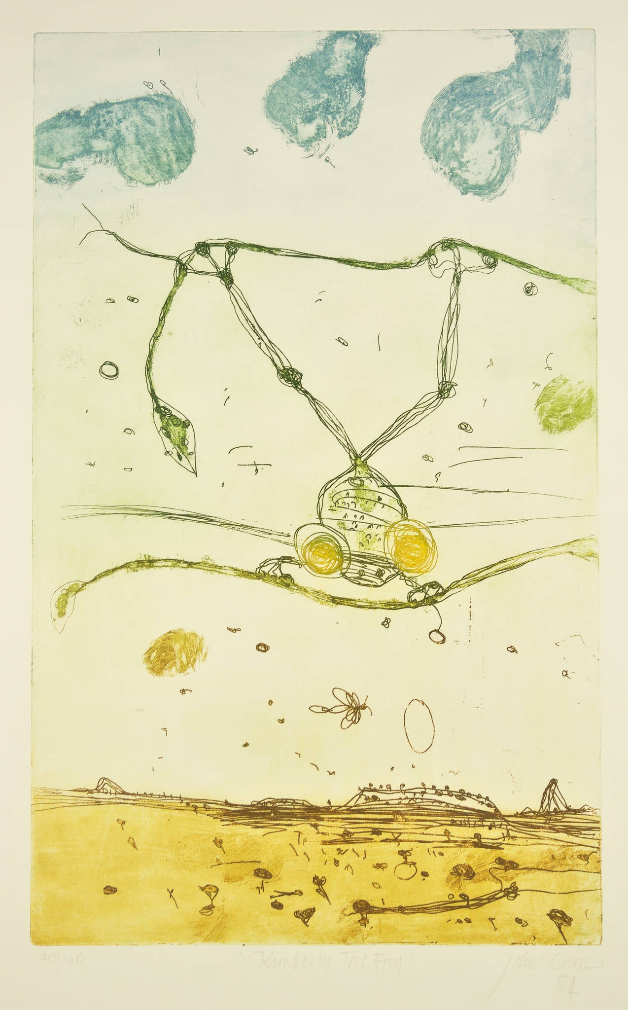 John Olsen 'Kimberley Tree Frog'