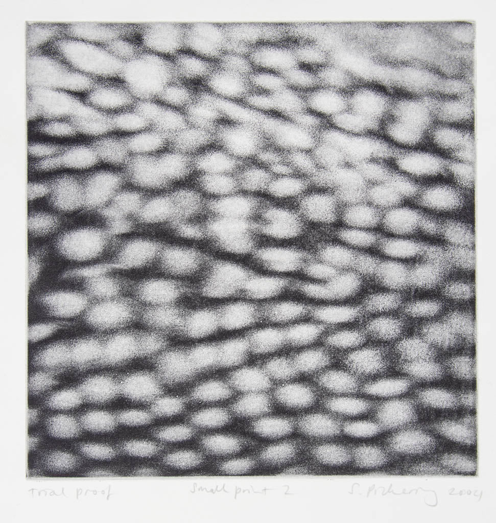 Susan Pickering 'Small Print 2'