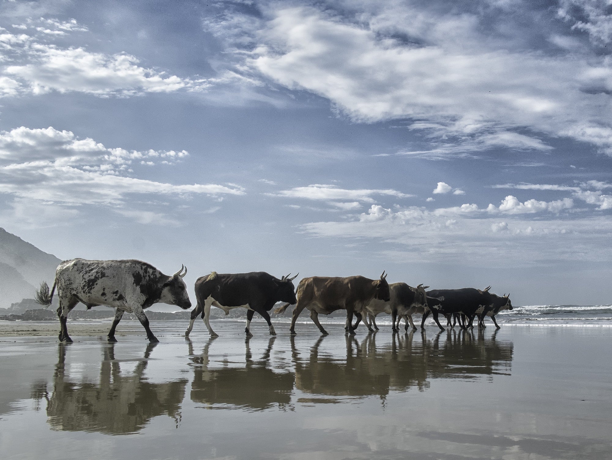 Christopher Rimmer 'Amapondo 13' - pigment print on paper – Art and ...