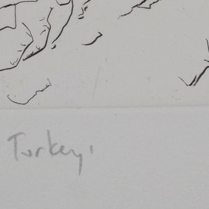 Luke Sciberras 'Ilford Turkey'