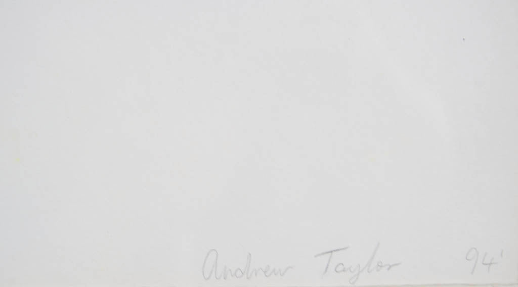 Andrew Taylor 'Untitled'