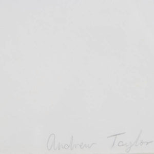 Andrew Taylor 'Untitled'